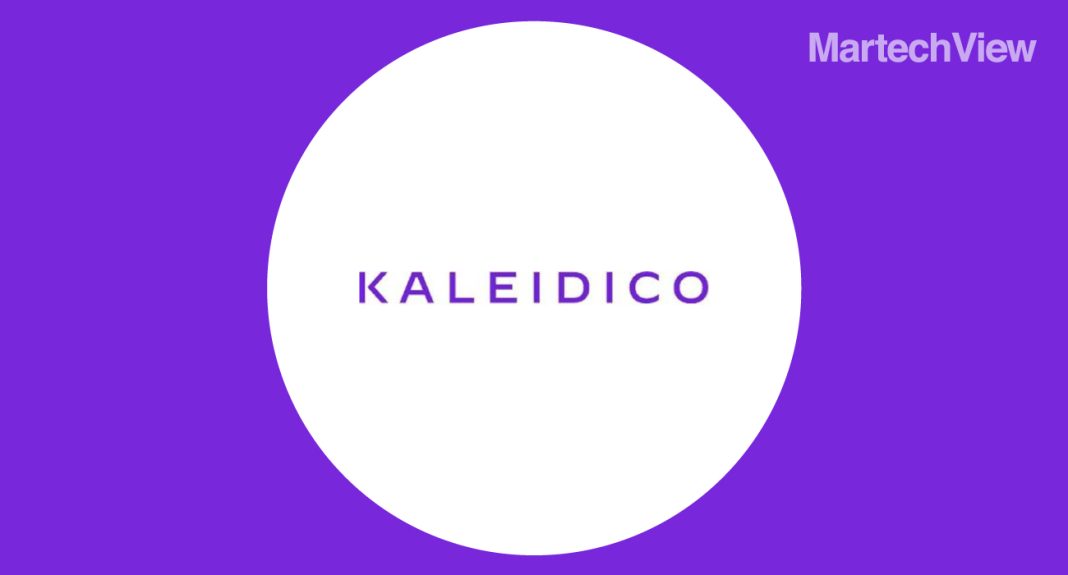 Kaleidico-Reveals-the-Best-Michigan-Based-Website-Designs-in-2024