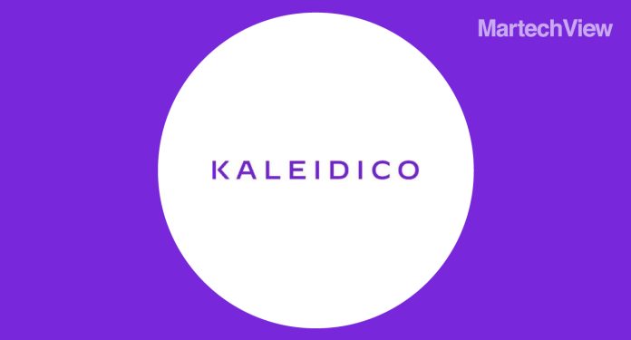 Kaleidico-Reveals-the-Best-Michigan-Based-Website-Designs-in-2024