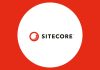 Sitecore XM Cloud Drives 371% ROI for Marketers