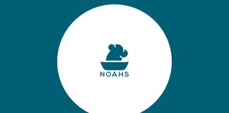 Noahs Reinvents Food Retail with Smart Kitchen Hubs Noahs Reinvents Food Retail with Smart Kitchen Hubs